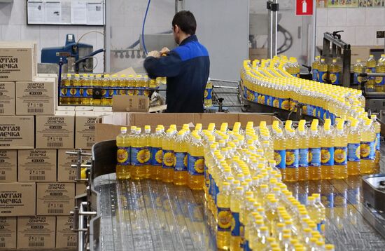 Producing Zolotaya Semechka (Golden Seed) sunflower oil in Rostov-on-Don
