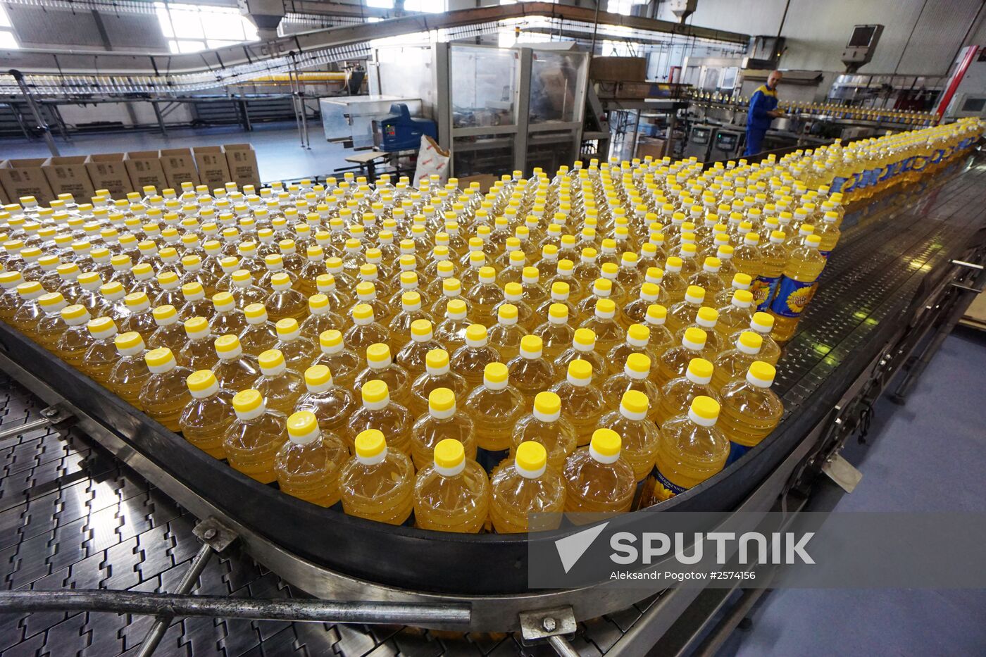 Producing Zolotaya Semechka (Golden Seed) sunflower oil in Rostov-on-Don