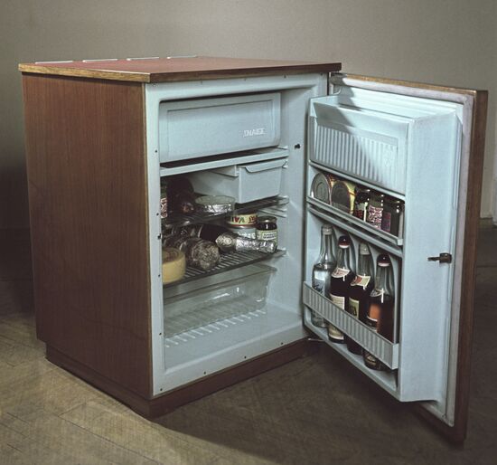 Snaige refrigerator