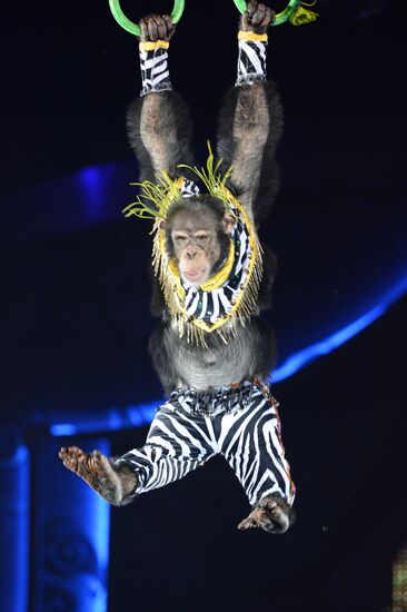 Dress rehearsal of the show "Royal Circus"