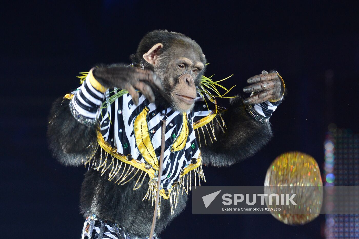 Dress rehearsal of the show "Royal Circus"