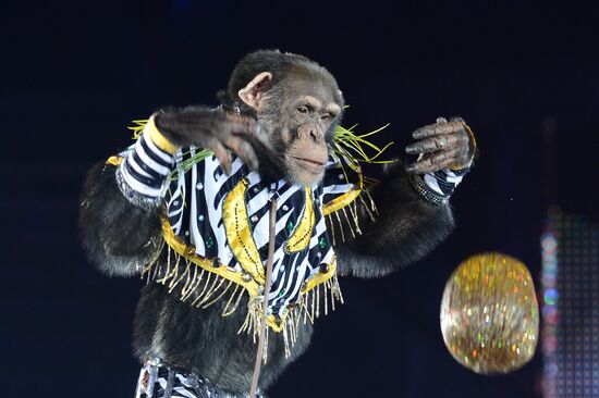 Dress rehearsal of the show "Royal Circus"
