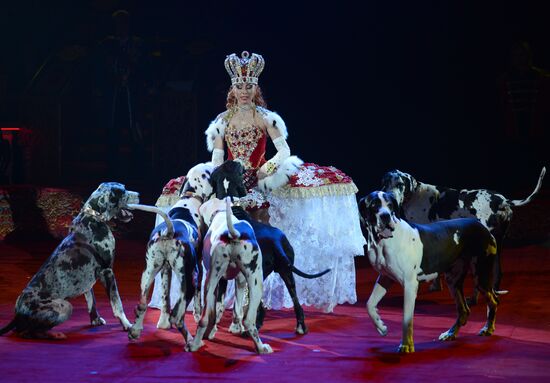 Dress rehearsal of the show "Royal Circus"