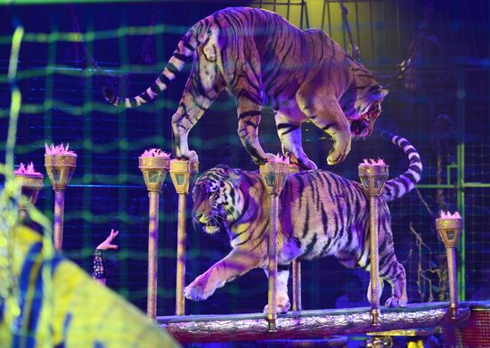 Dress rehearsal of the show "Royal Circus"