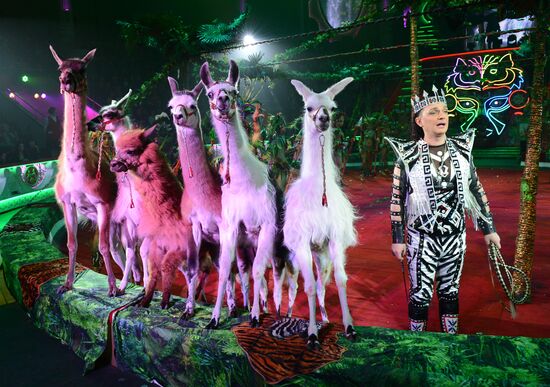 Dress rehearsal of Royal Circus show
