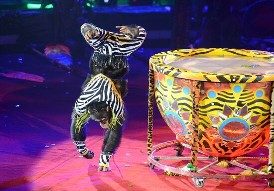 Dress rehearsal of the show "Royal Circus"