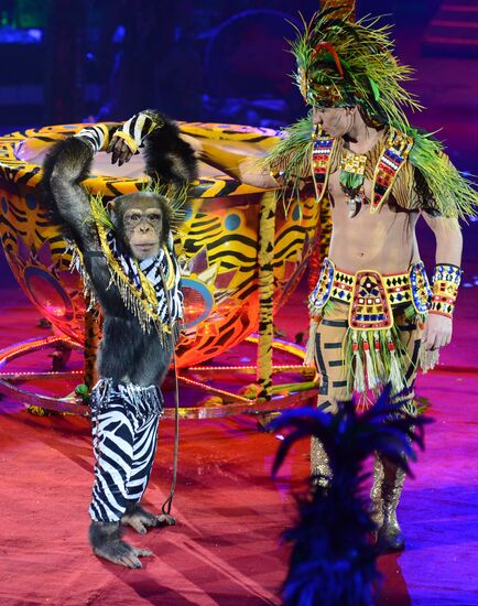 Dress rehearsal of the show "Royal Circus"