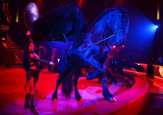 Dress rehearsal of Royal Circus show