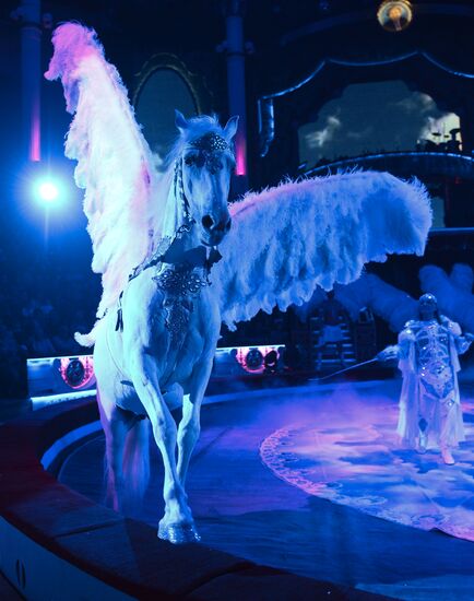 Dress rehearsal of Royal Circus show
