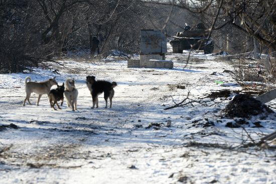 Debaltsevo update