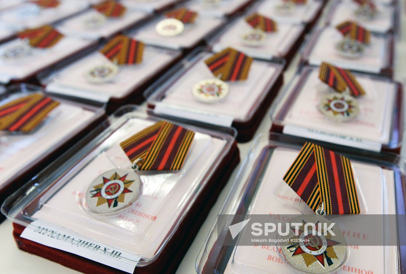 Defender of Fatherland Day celebrated in Kazan