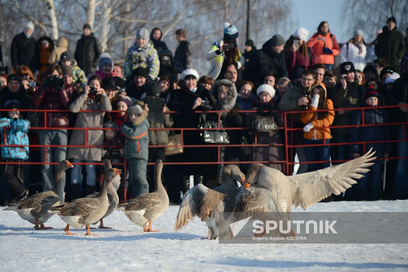 Maslenitsa festival in Suzdal