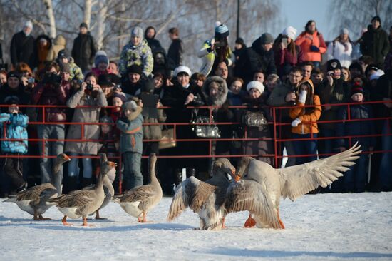 Maslenitsa festival in Suzdal
