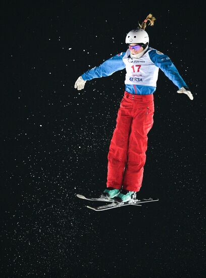 Freestyle Skiing World Cup. Aerials