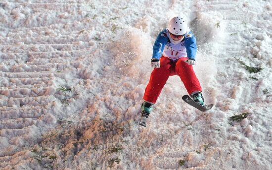 Freestyle Skiing World Cup. Aerials