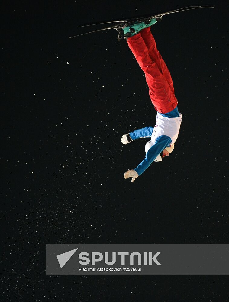 Freestyle Skiing World Cup. Aerials