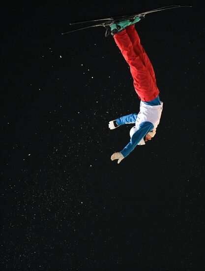 Freestyle Skiing World Cup. Aerials