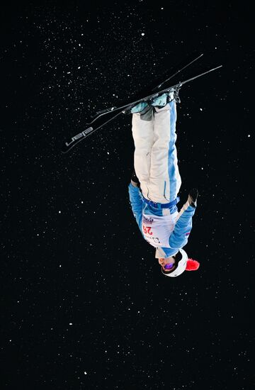 Freestyle Skiing World Cup. Aerials