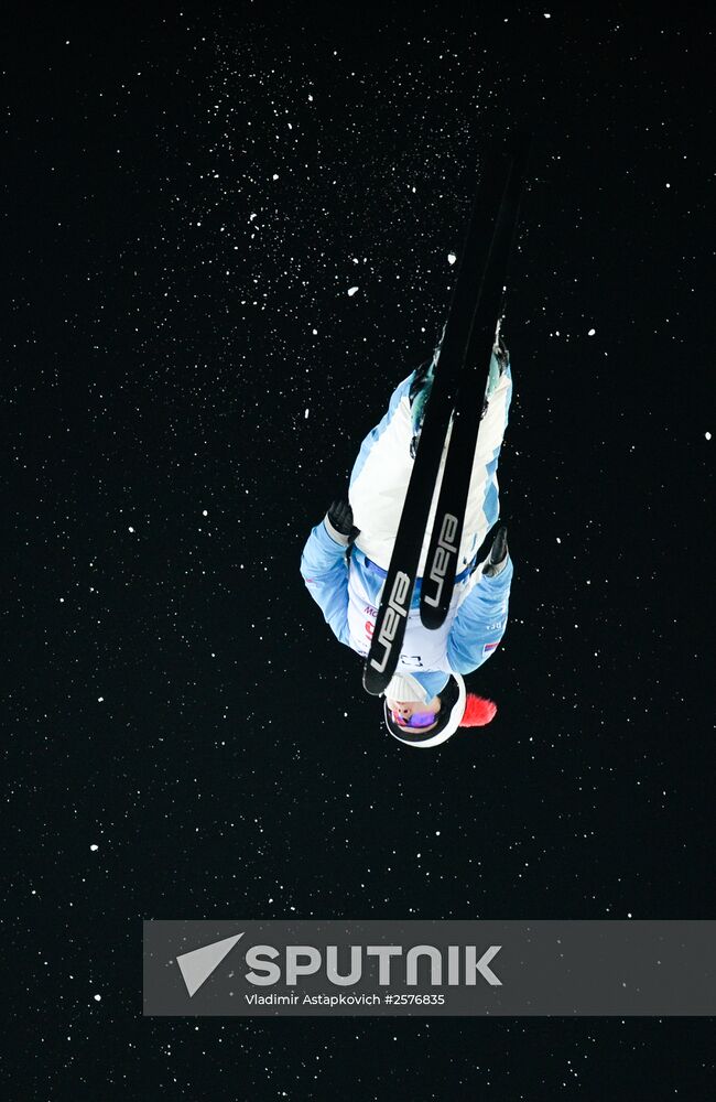 Freestyle Skiing World Cup. Aerials