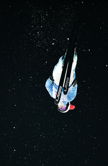 Freestyle Skiing World Cup. Aerials