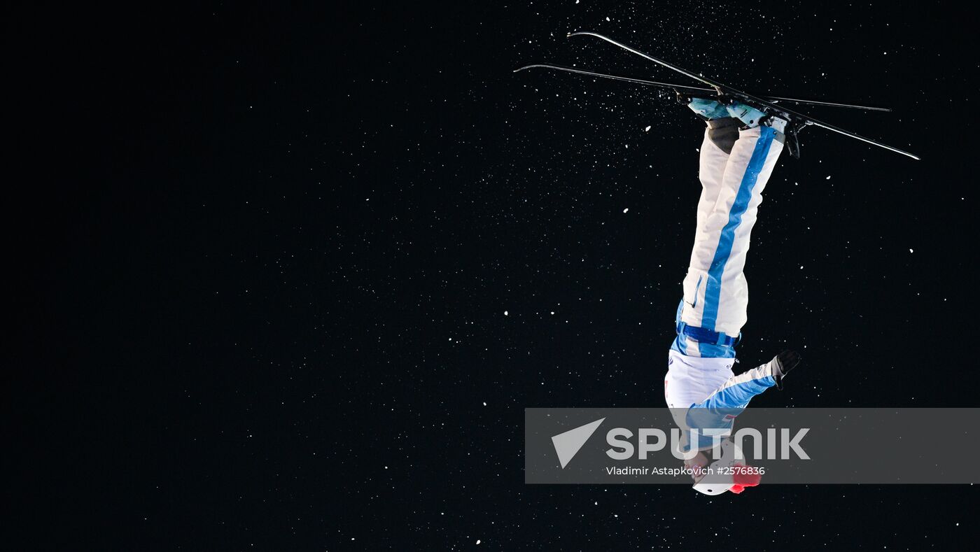 Freestyle Skiing World Cup. Aerials