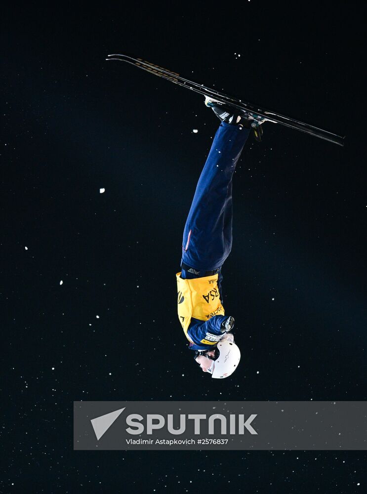 Freestyle Skiing World Cup. Aerials