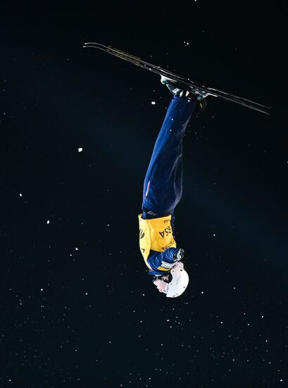 Freestyle Skiing World Cup. Aerials