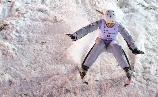 Freestyle Skiing World Cup. Aerials