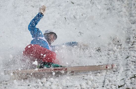 Freestyle Skiing World Cup. Aerials