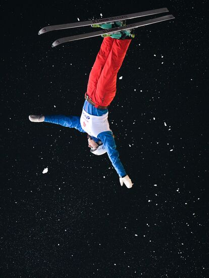 Freestyle Skiing World Cup. Aerials