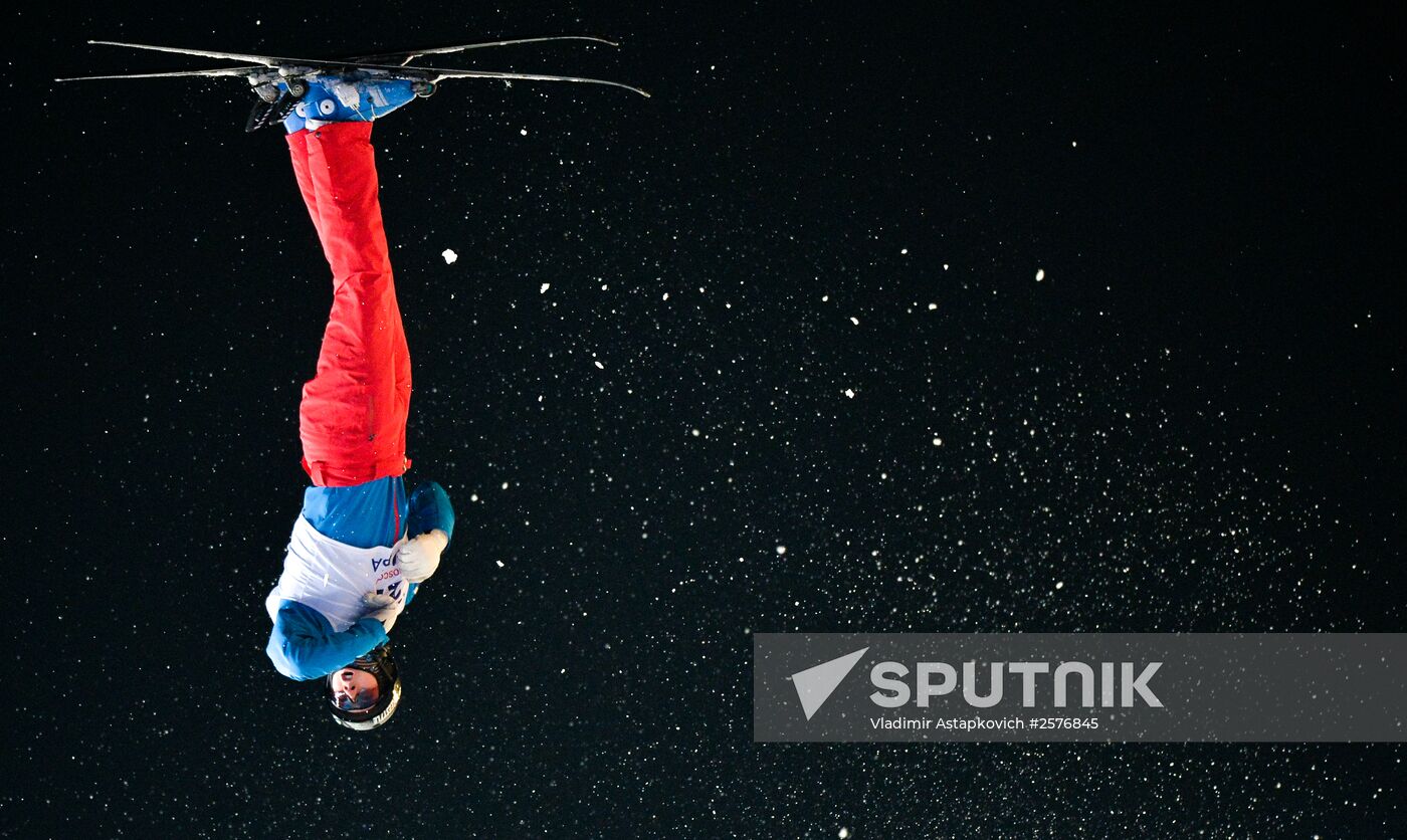 Freestyle Skiing World Cup. Aerials