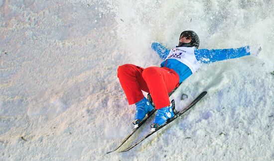 Freestyle Skiing World Cup. Aerials