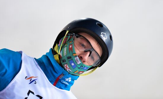 Freestyle Skiing World Cup. Aerials