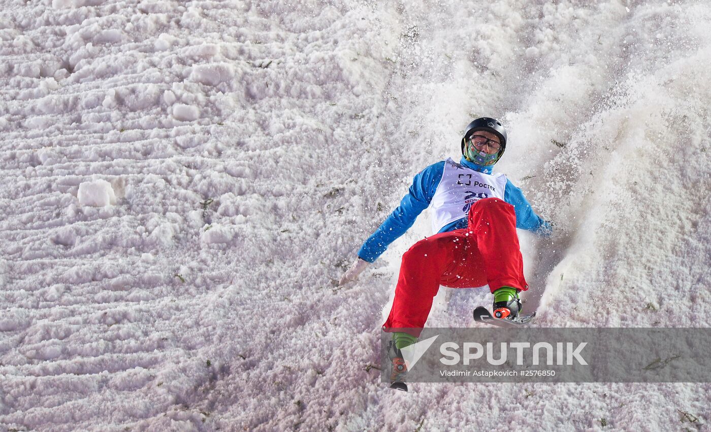 Freestyle Skiing World Cup. Aerials