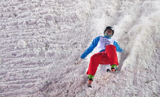 Freestyle Skiing World Cup. Aerials