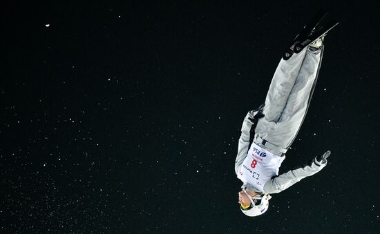 Freestyle Skiing World Cup. Aerials