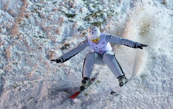 Freestyle Skiing World Cup. Aerials