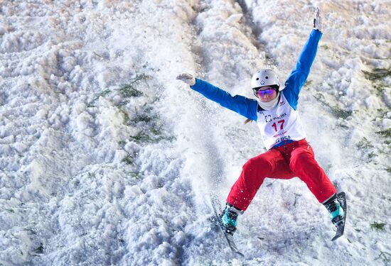 Freestyle Skiing World Cup. Aerials