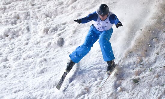 Freestyle Skiing World Cup. Aerials