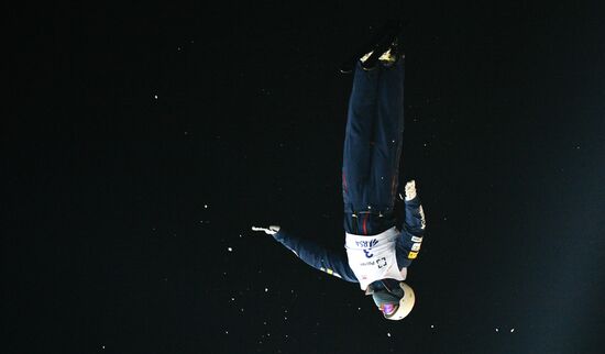 Freestyle Skiing World Cup. Aerials