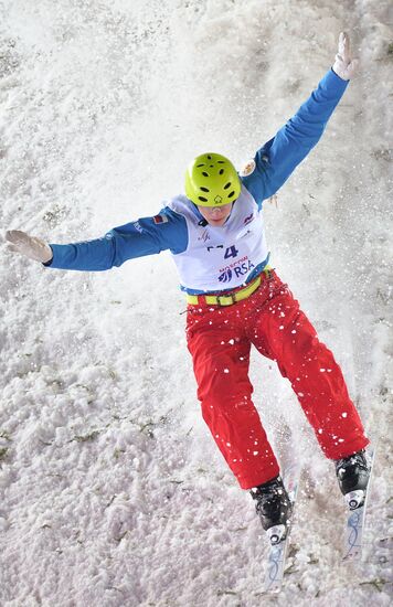 Freestyle Skiing World Cup. Aerials