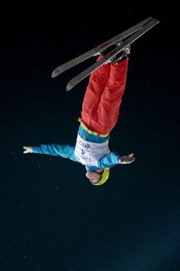 Freestyle Skiing World Cup. Aerials