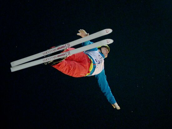 Freestyle Skiing World Cup. Aerials