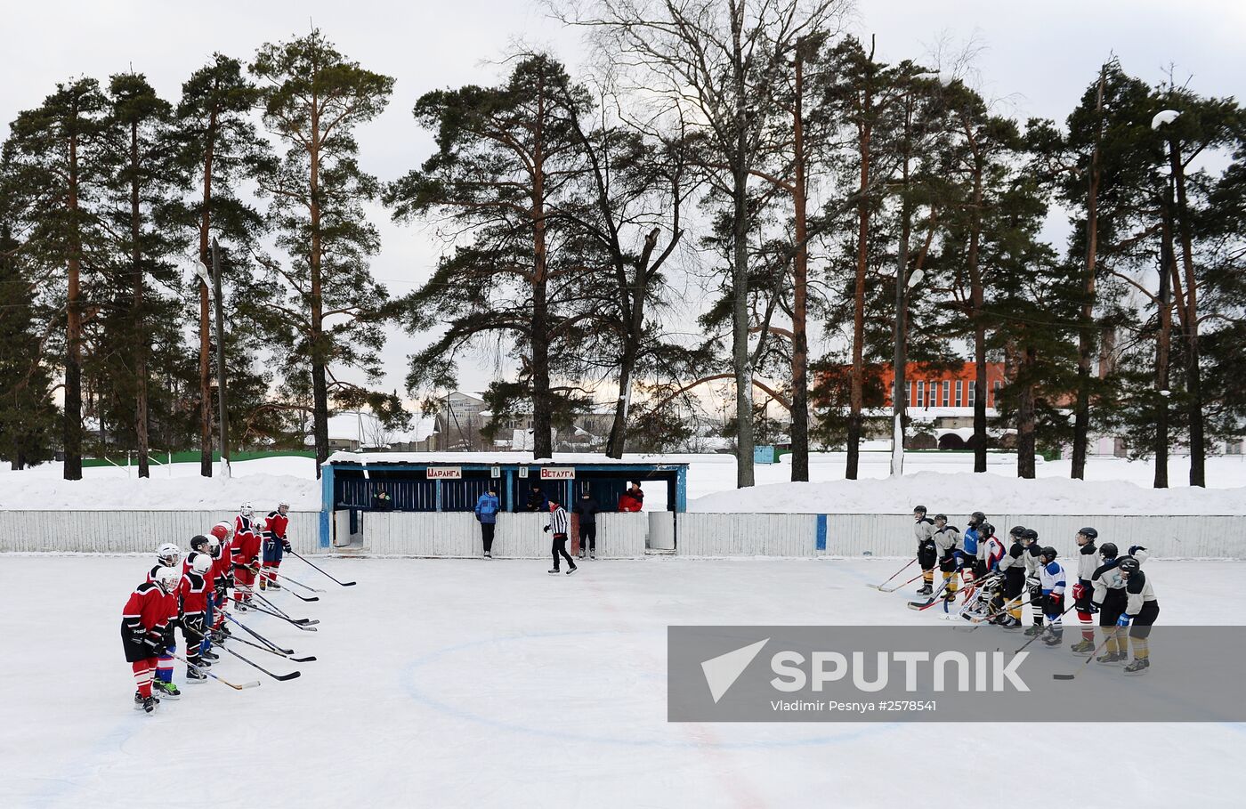 Amateur ice hockey players in the Nizhny Novgorod Region
