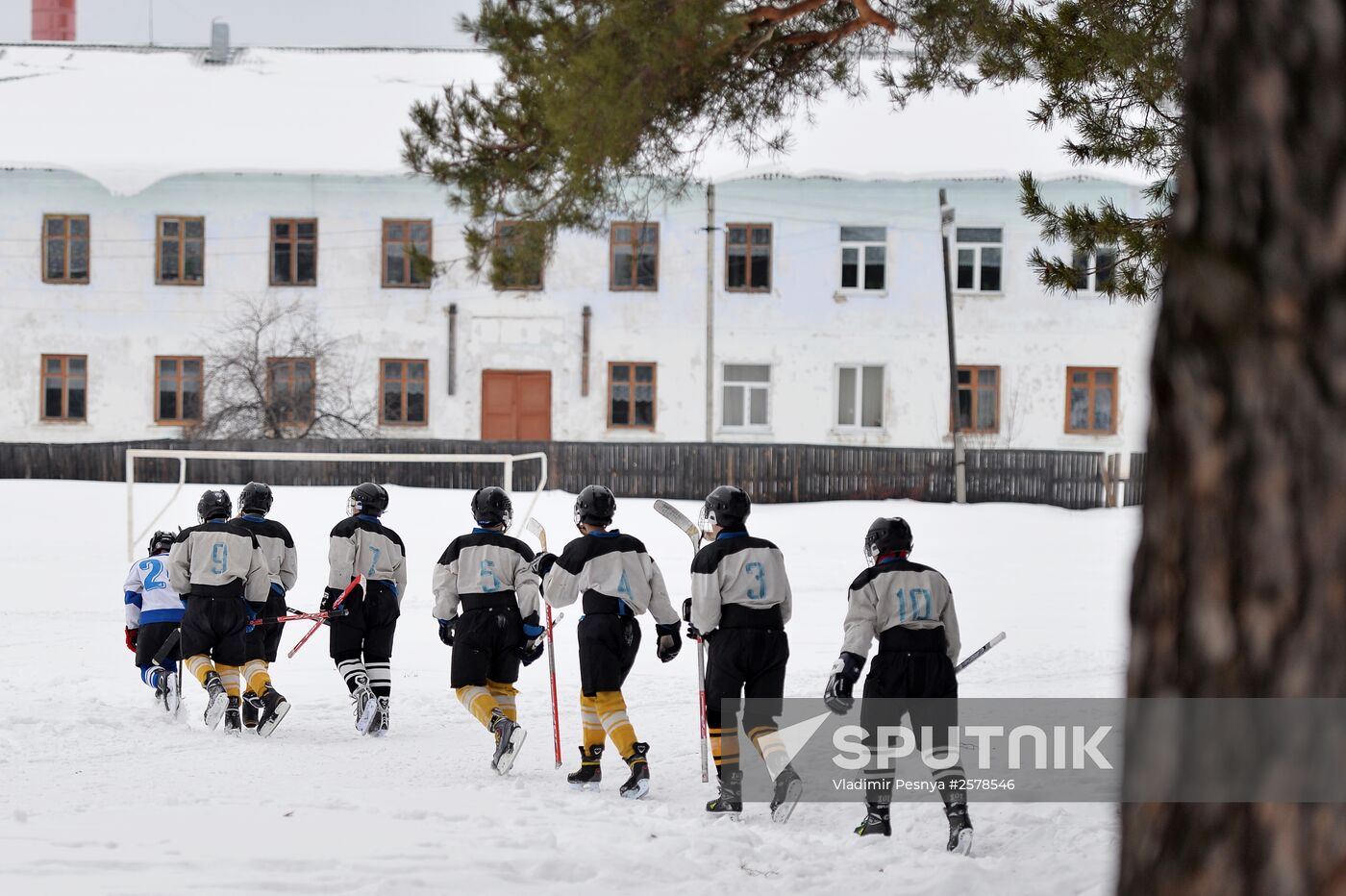 Amateur ice hockey players in the Nizhny Novgorod Region