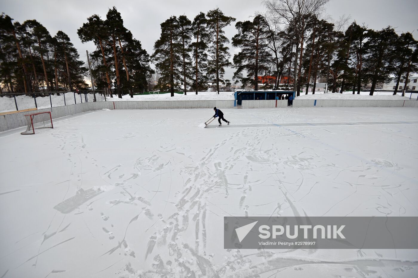 Amateur ice hockey players in the Nizhny Novgorod Region