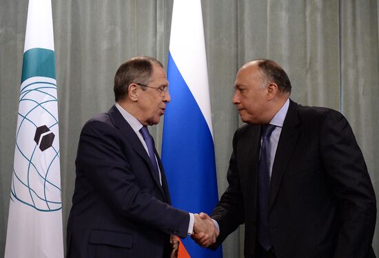 Foreign Minister Sergey Lavrov meets with OIC delegation on Palestine and Eastern Jerusalem