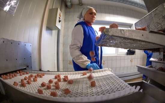 Production of Raviollo brand ice cream in St. Petersburg