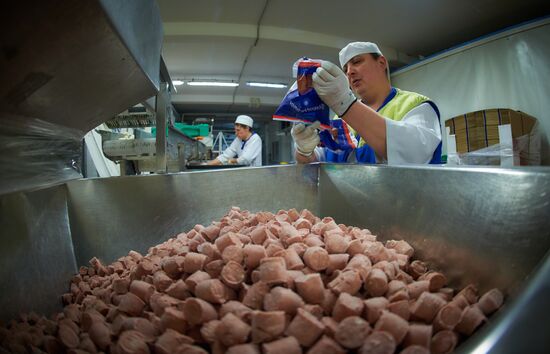 Production of Raviollo brand ice cream in St. Petersburg