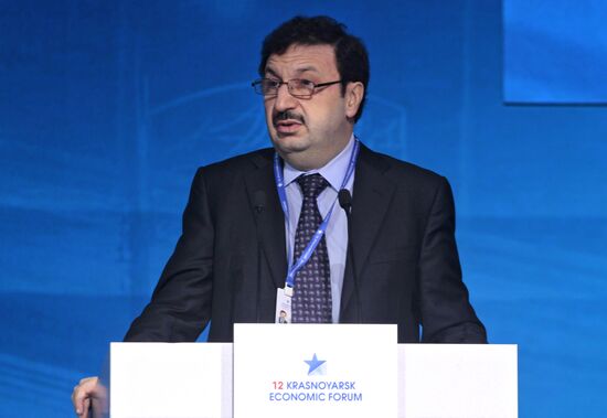 12th Krasnoyarsk Economic Forum. Day Three